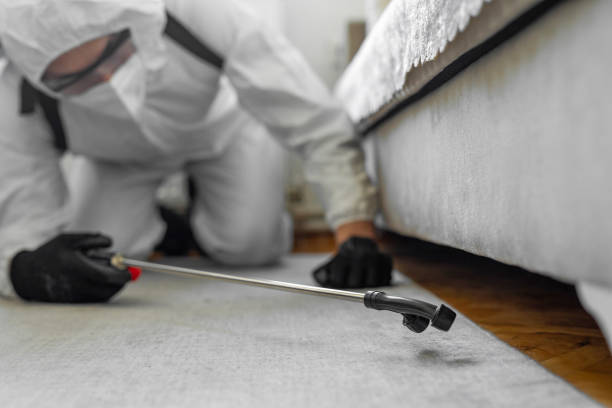 Professional Cockroach Control technician working in Conning Towers Nautilus Park, CT