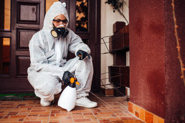 Reliable Cockroach Control contractor in Conning Towers Nautilus Park, CT by Nex Pest Control