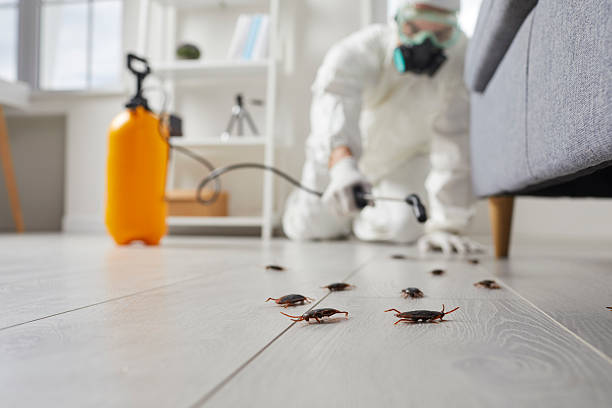 Trusted Cockroach Control service in Conning Towers Nautilus Park, CT - Nex Pest Control