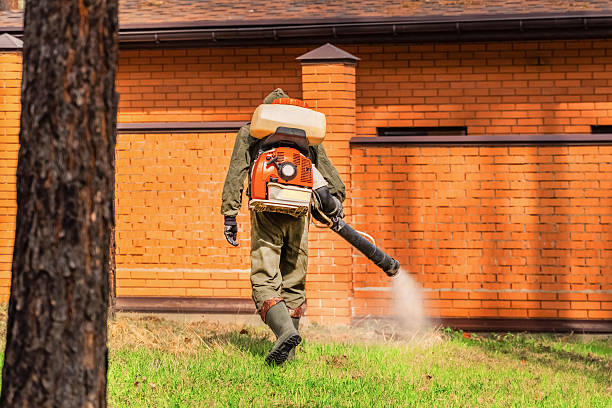 Trusted Mosquito Control service in Conning Towers Nautilus Park, CT - Nex Pest Control